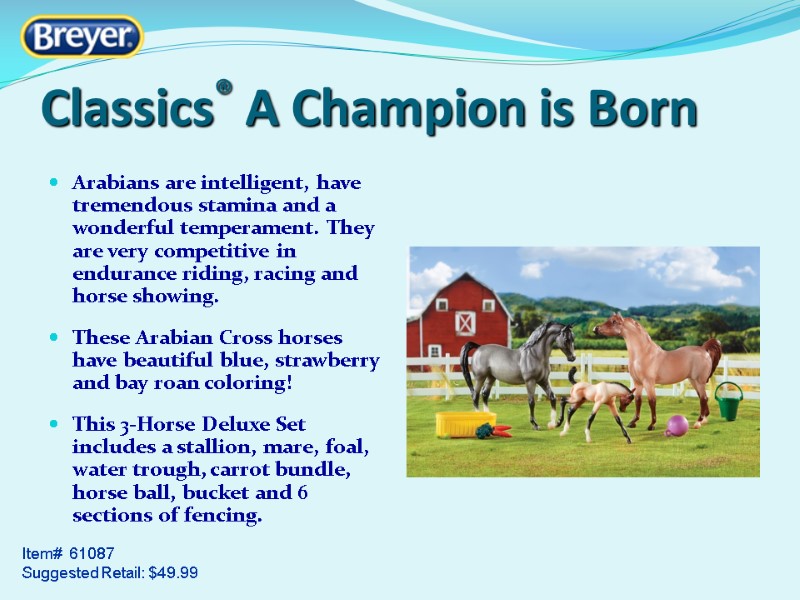 Item#  61087 Suggested Retail: $49.99 Arabians are intelligent, have tremendous stamina and a